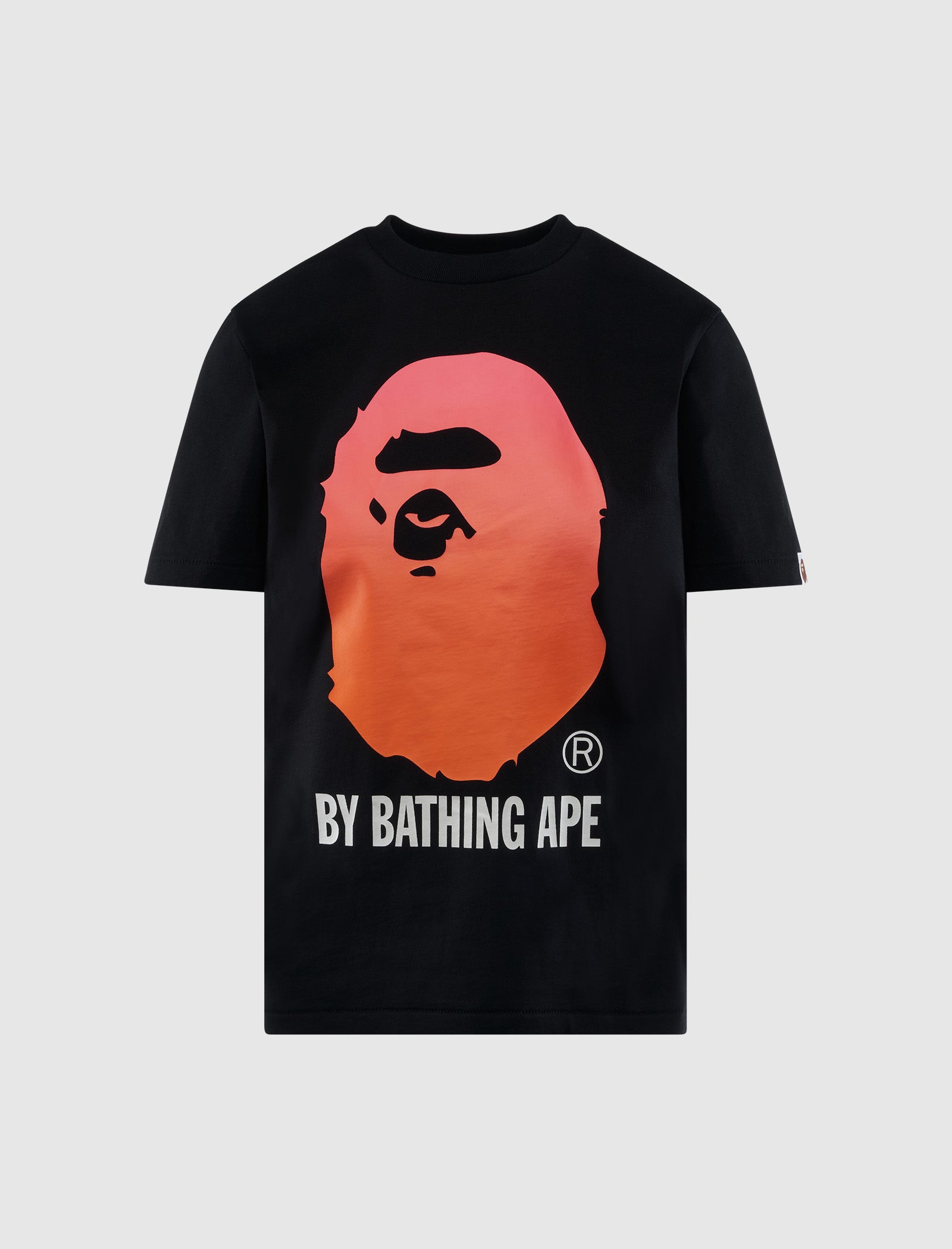 WOMEN'S GRADATION APE TEE