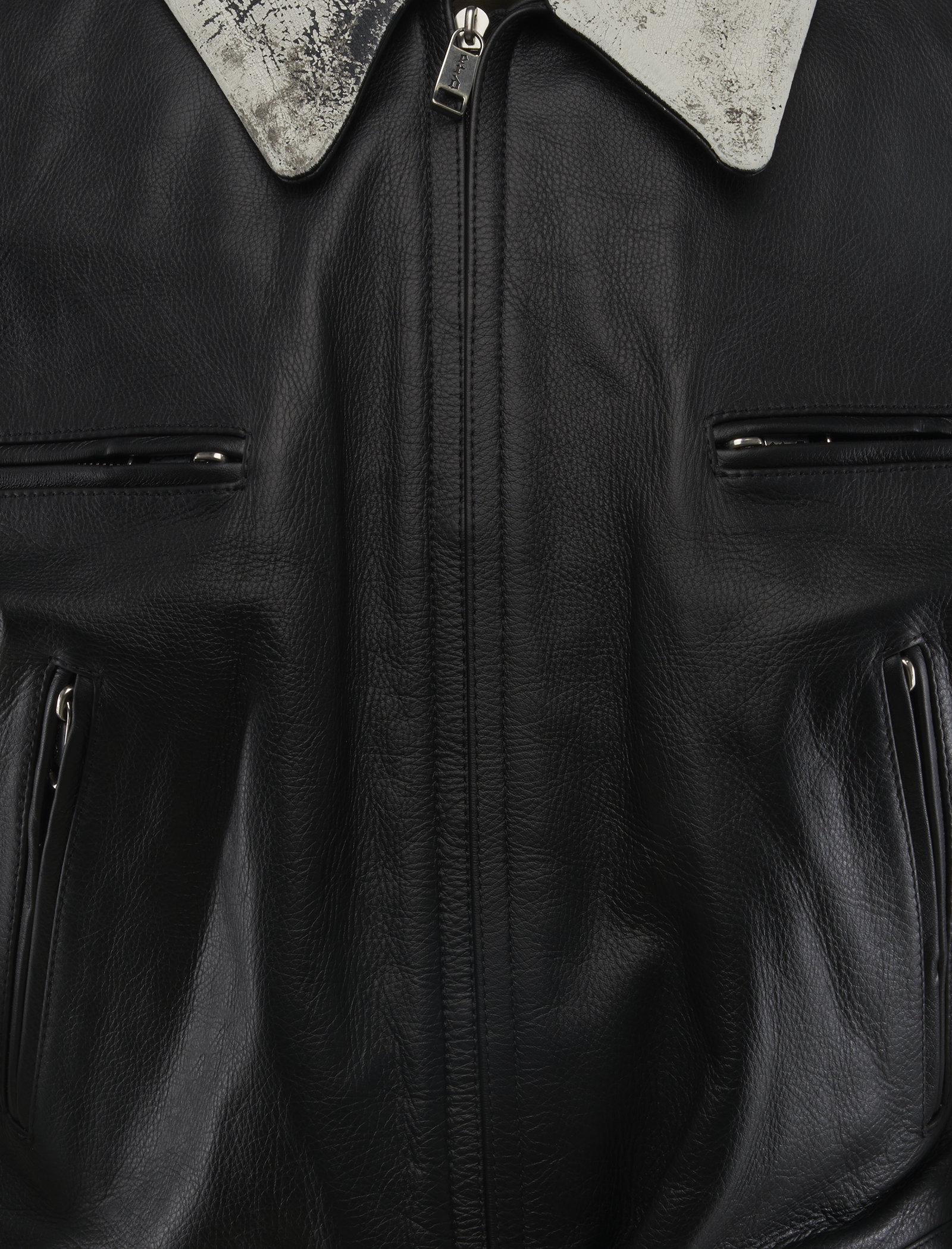 DOG IN RESTRAINT LEATHER JACKET