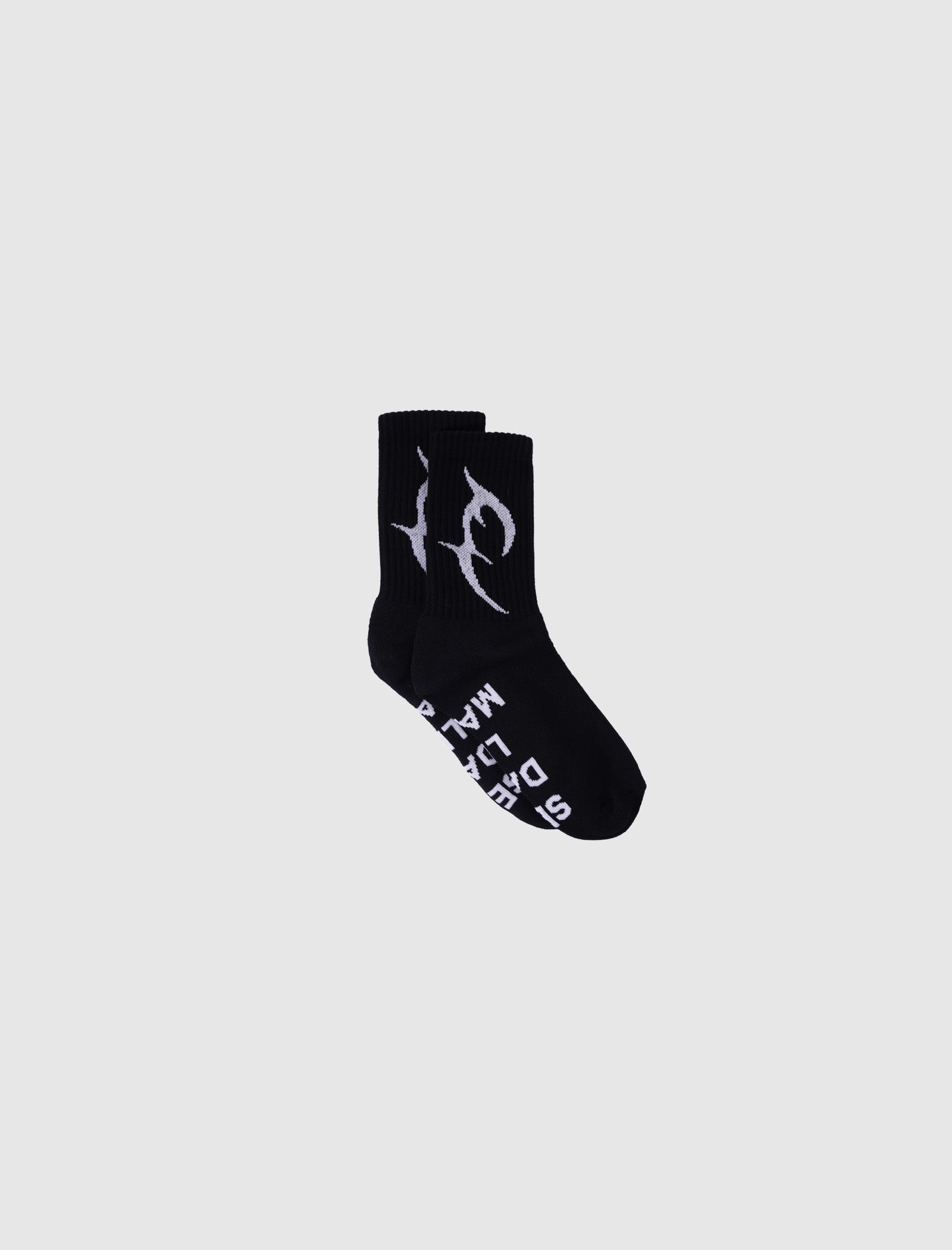 TC BASIC SOCKS