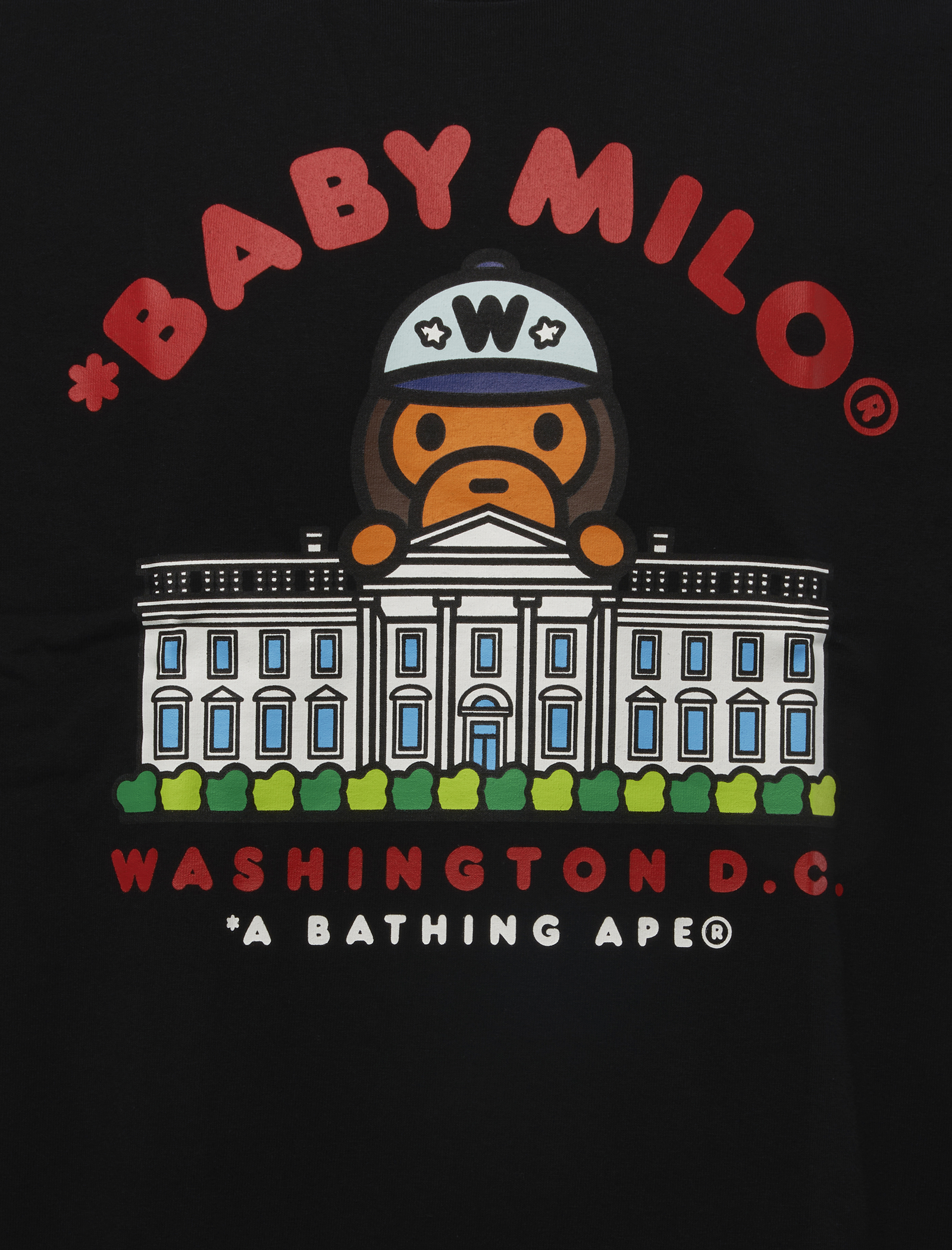 DC BAPE CITY TEE