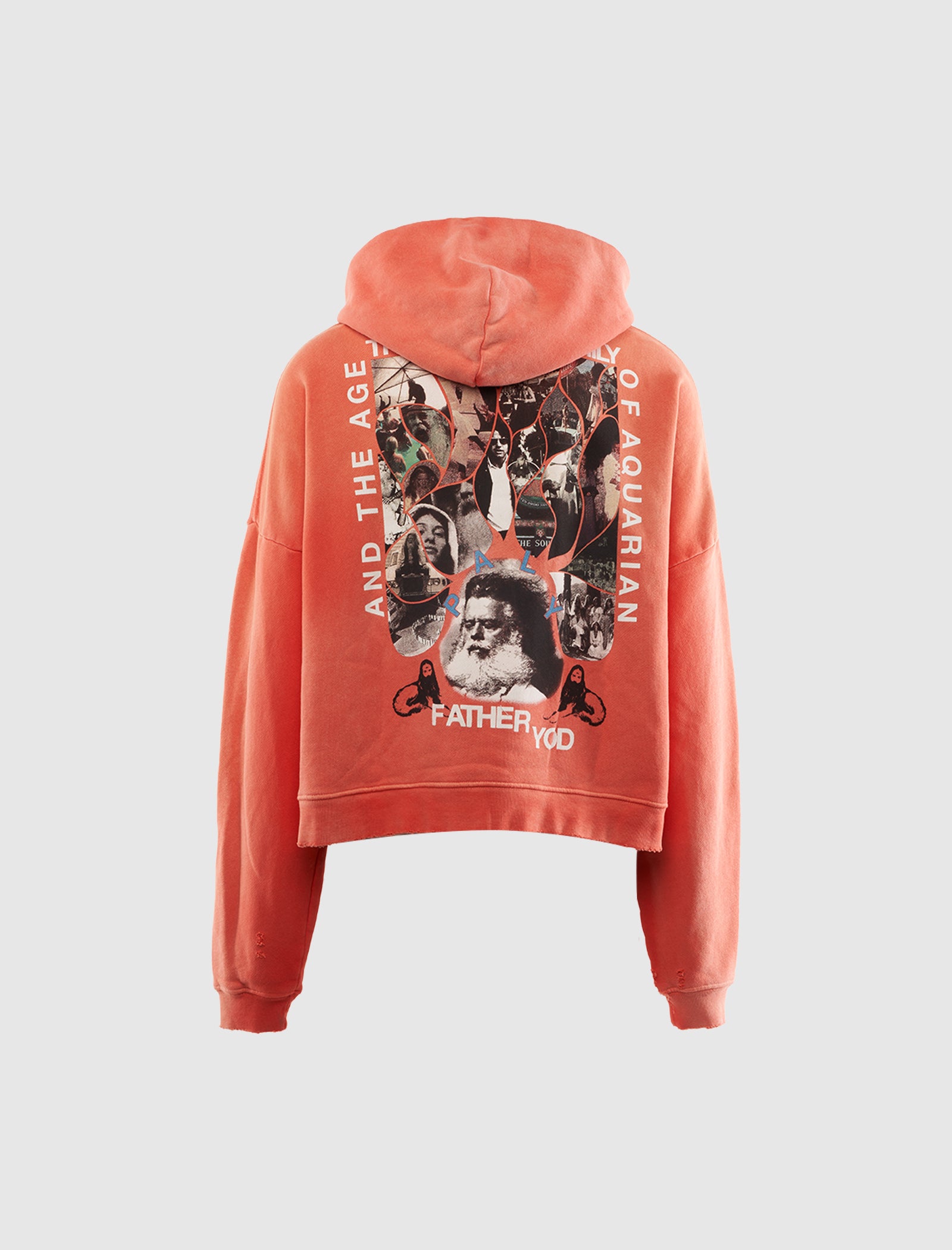 SOURCE FAMILY HOODIE