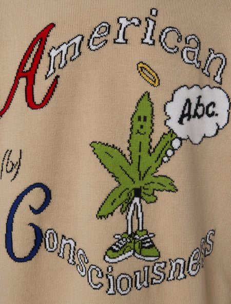 AMERICAN CONSCIOUSNESS SWEATER