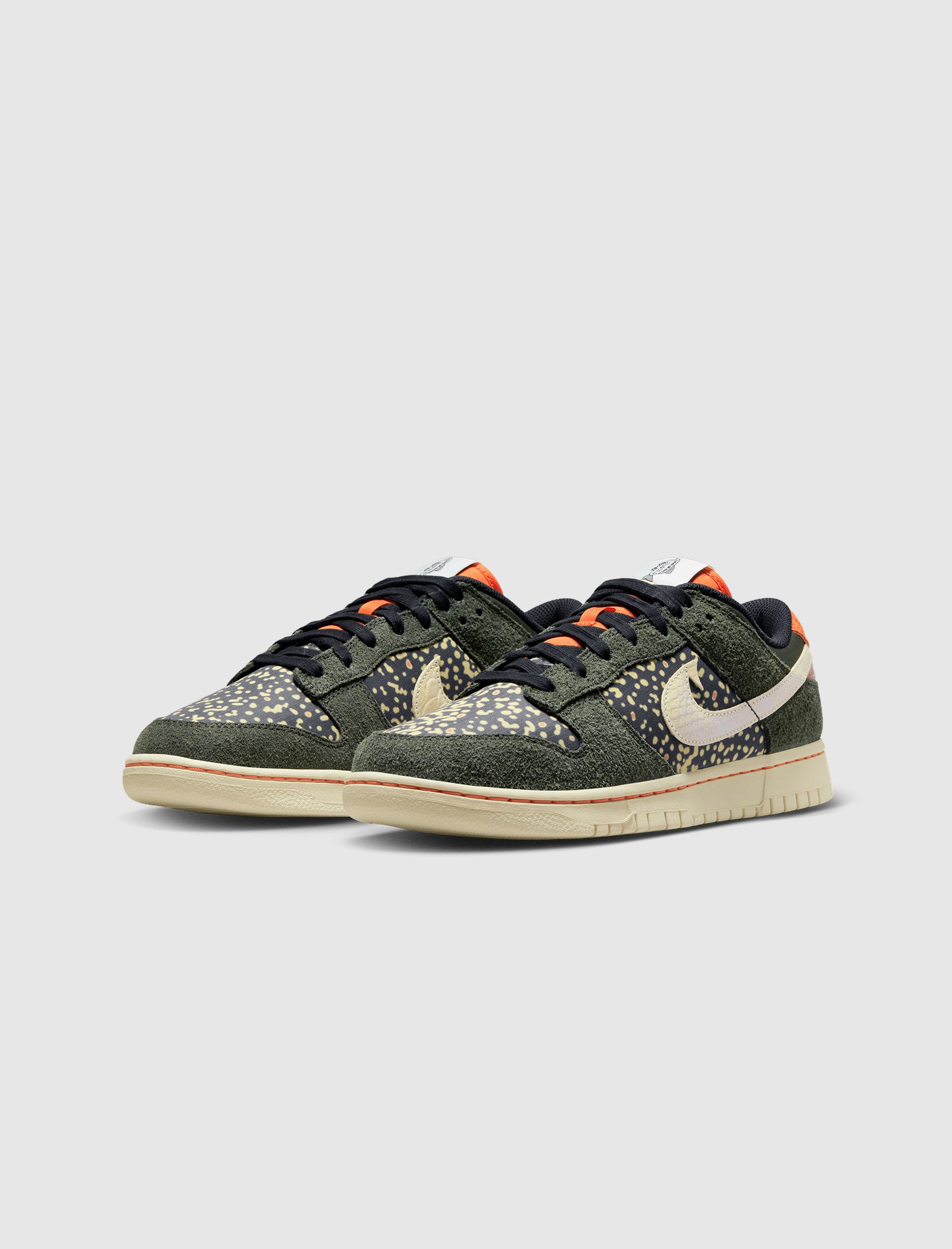 DUNK LOW RETRO SE "RAINBOW TROUT"