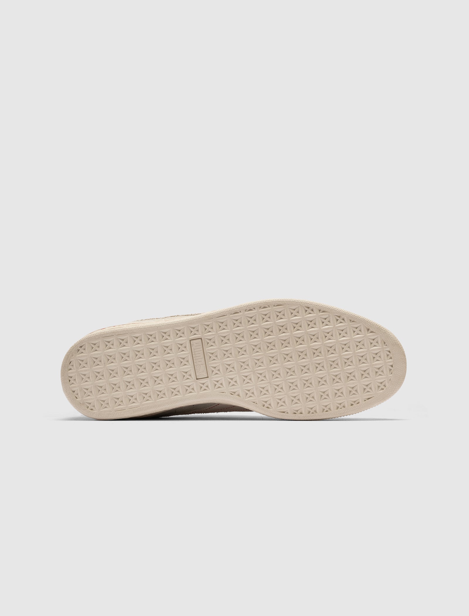 THE WHITAKER GRP SUEDE CODA ECHO POINTS ALPINE SNOW
