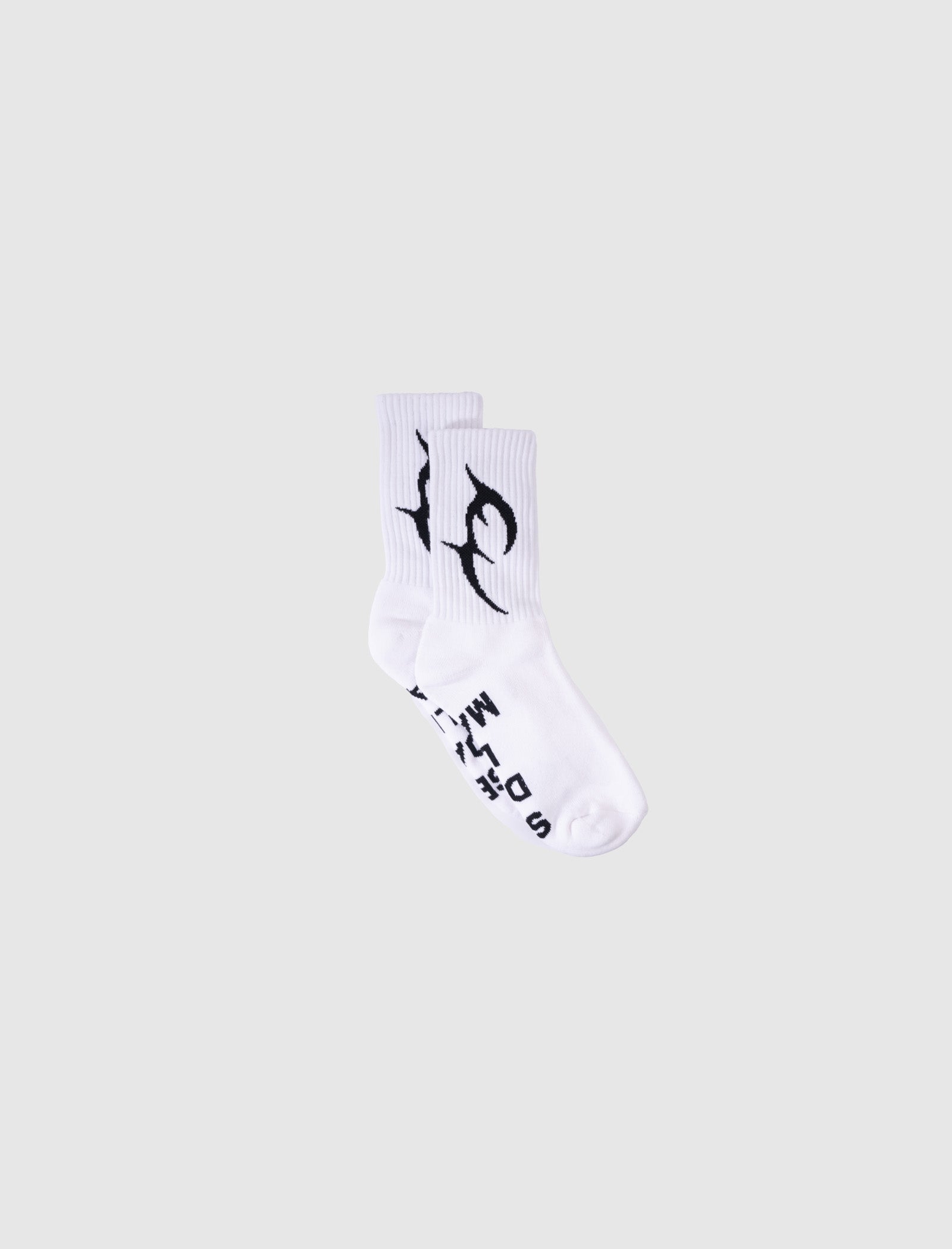 TC BASIC SOCKS