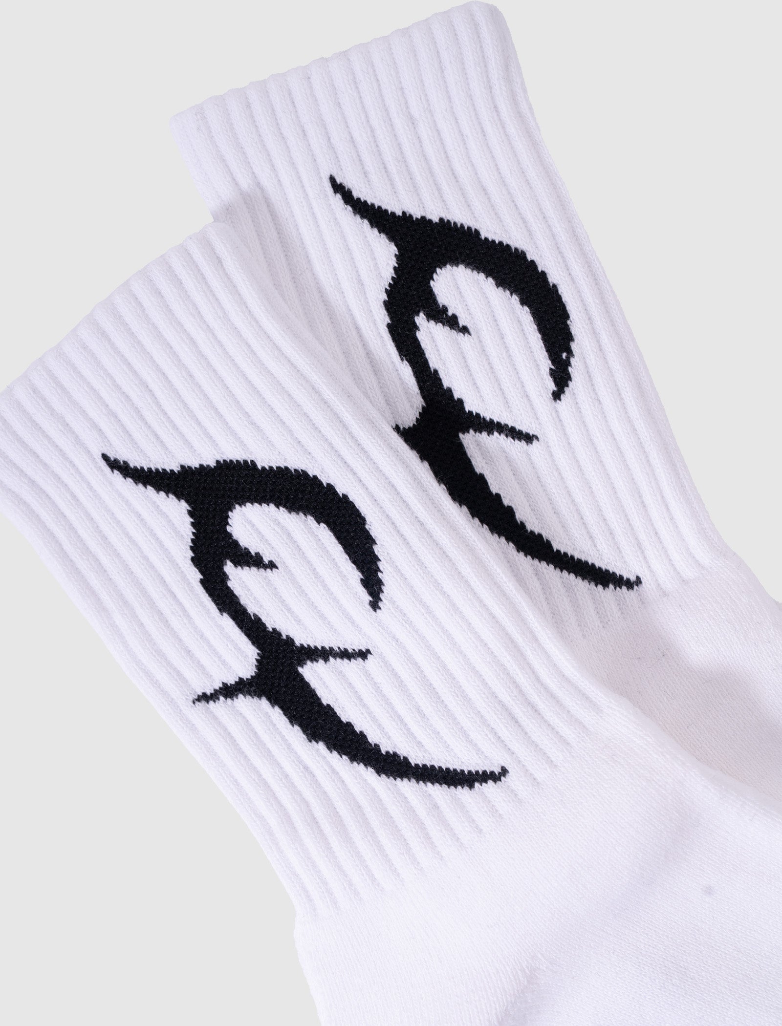 TC BASIC SOCKS